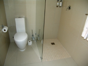 toilet & shower