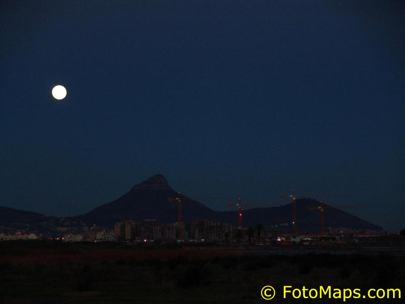 Lion's head by full moon