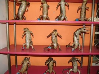 stuffed crocodiles at the Crocodile Ranch in Victoria Falls, Zimbabwe