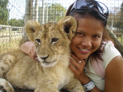 lion cub