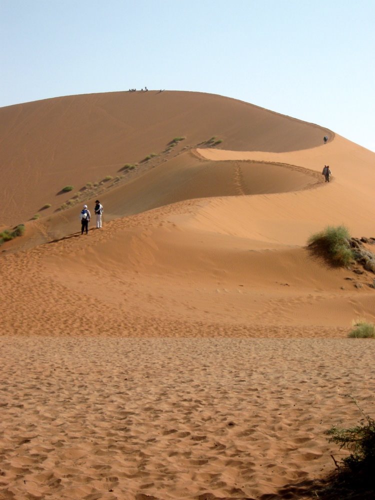 sand dune in the Namib desert