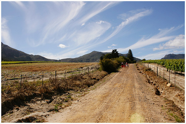 rural Tokai, Cape Town