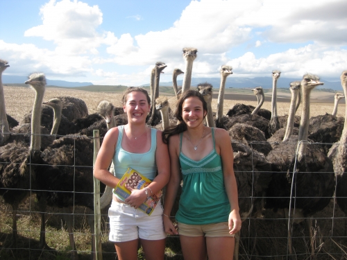 Two girls & ostriches