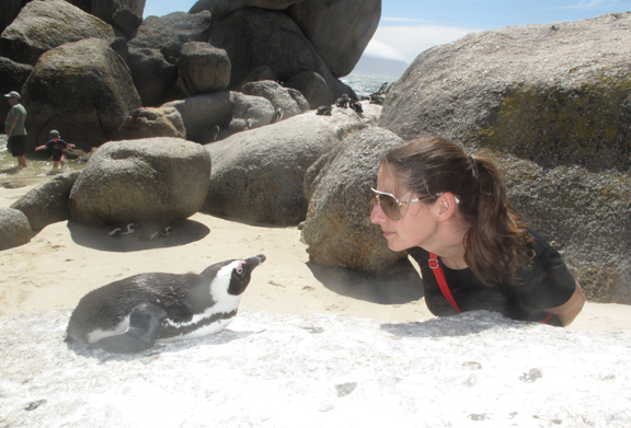 penguin and a person photoshopped into the sand