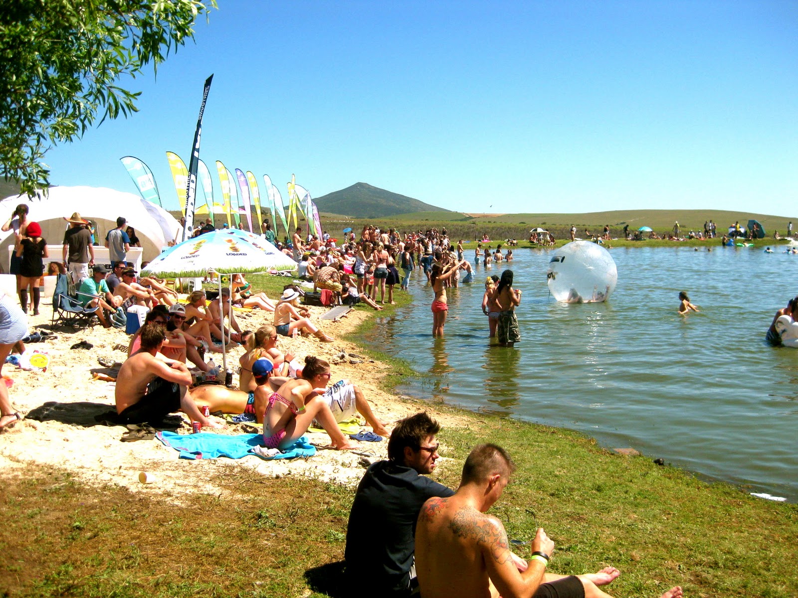 Rockin’ the Daisies in Darling