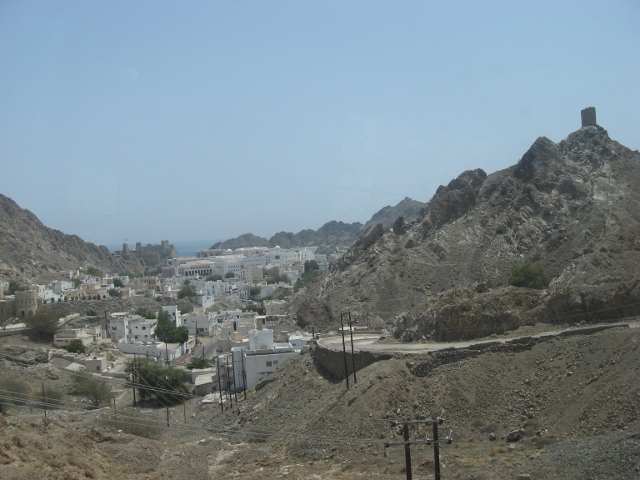 Muscat valley