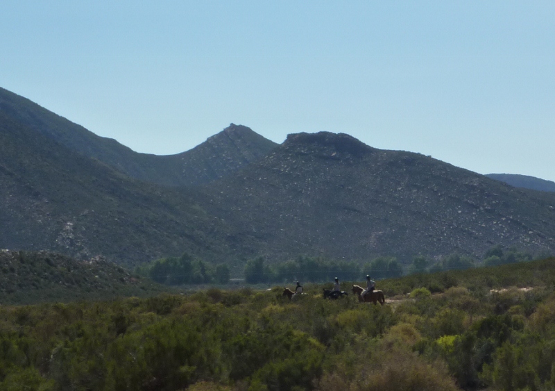 aquilahorseback