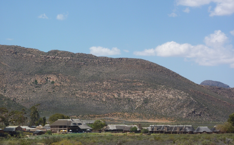 aquilasafari