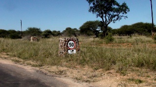 speed limit at Timbavati Nature Reserve
