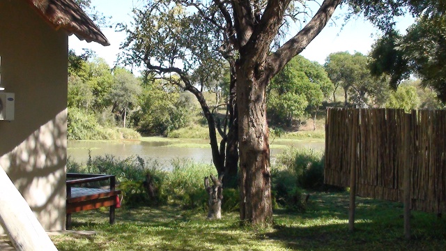 view from chalet at Simbavati River Lodge