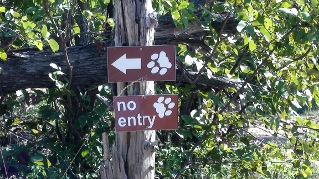 paw print marks to Simbavati