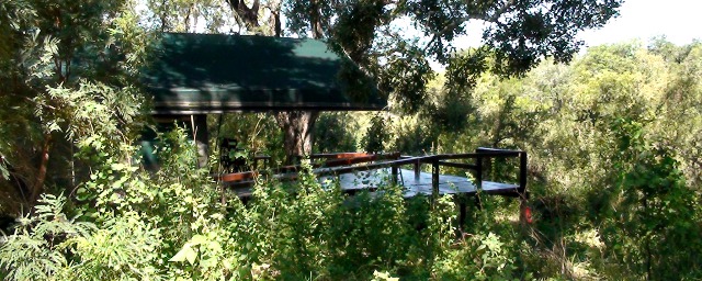 Simbavati River Lodge luxury tent