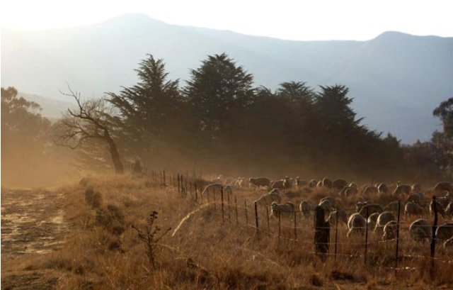 Clarens farm