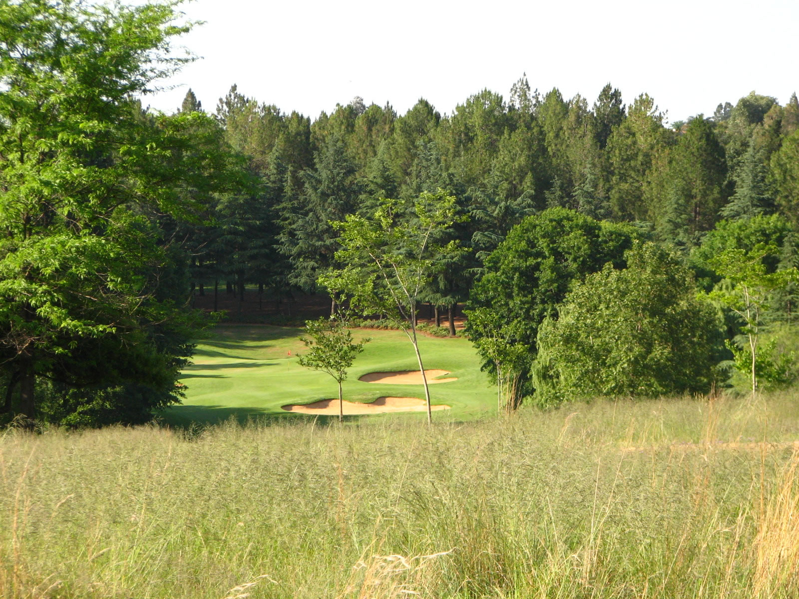 Johannesburg Woodmead Golf Course The rough and the smooth JPG