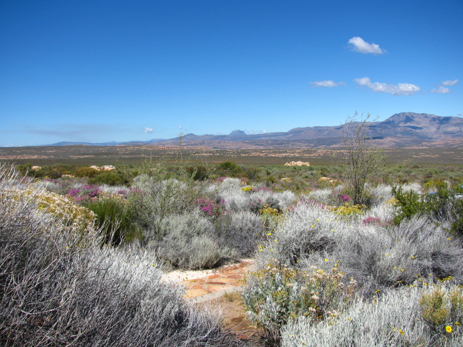 View from cave room at Kagga Kamma