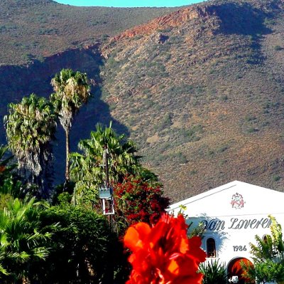 Van Loveren in Robertson, South Africa