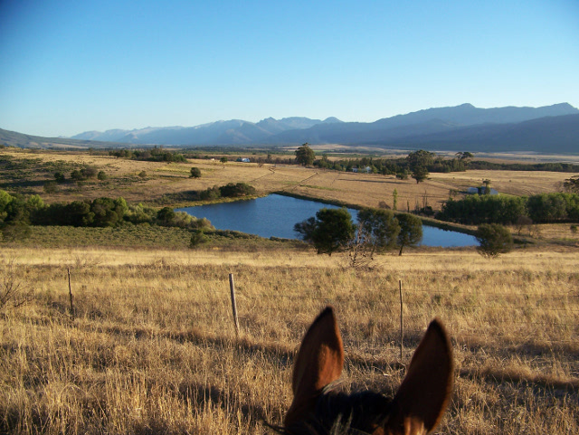 riding a horse near Tulbagh