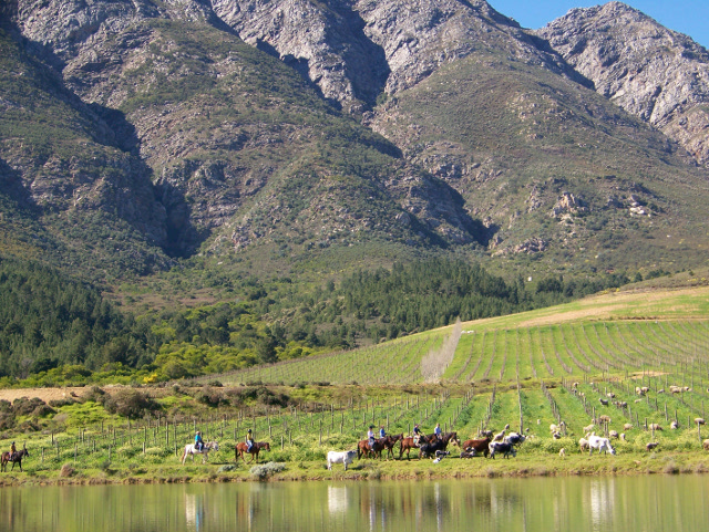 riding a horse near Tulbagh