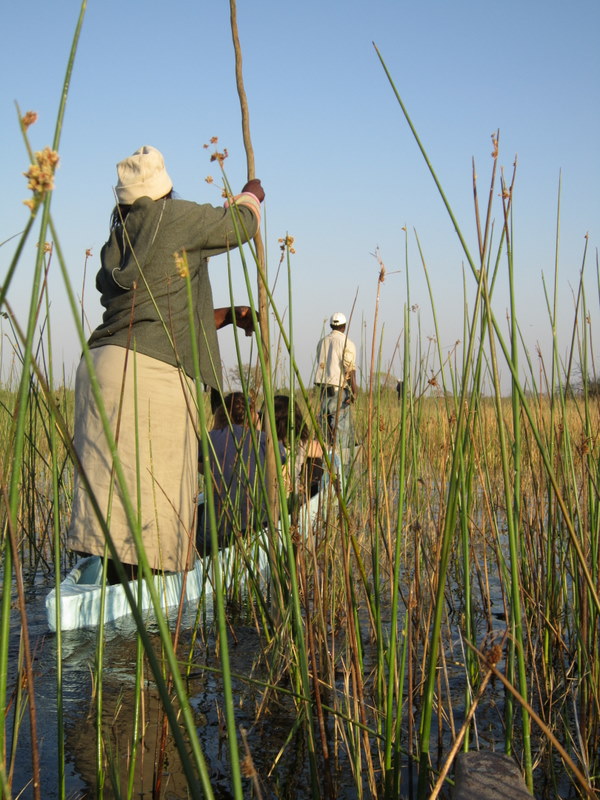 paddling through the Okavango Delta in Botswana