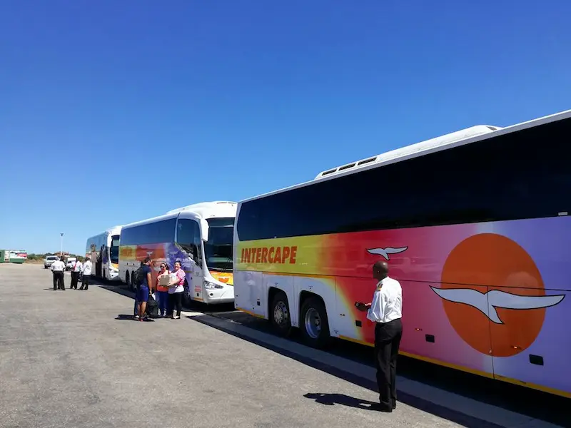 3 Intercape buses which were used to transport school kids from Curro in Mossel Bay